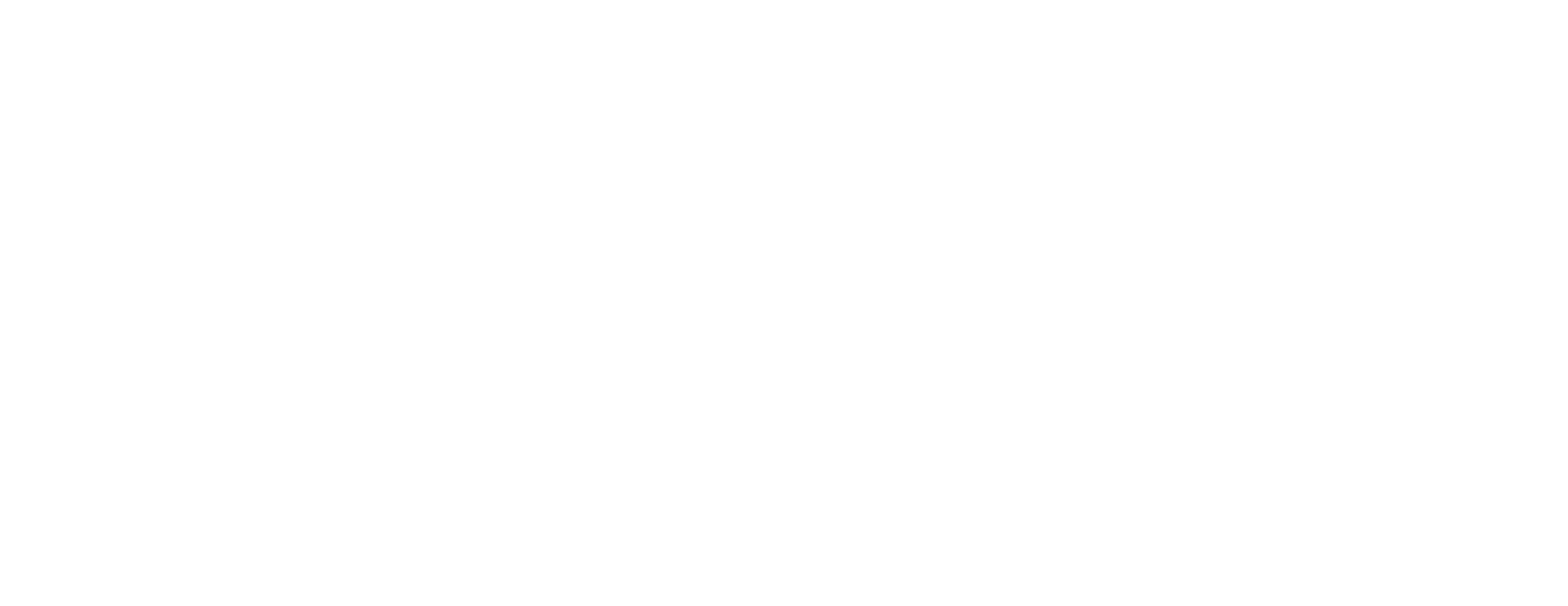 GSI Logo_White